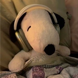 Meet your Posher, Tina